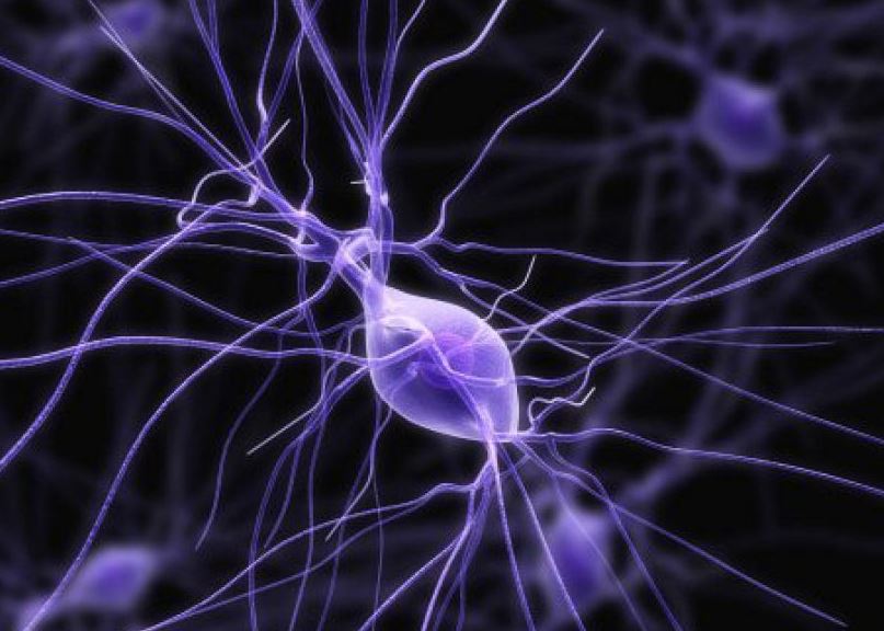 دراسة: الألياف تساعد في إبطاء مرض التصلب العصبي المتعدد