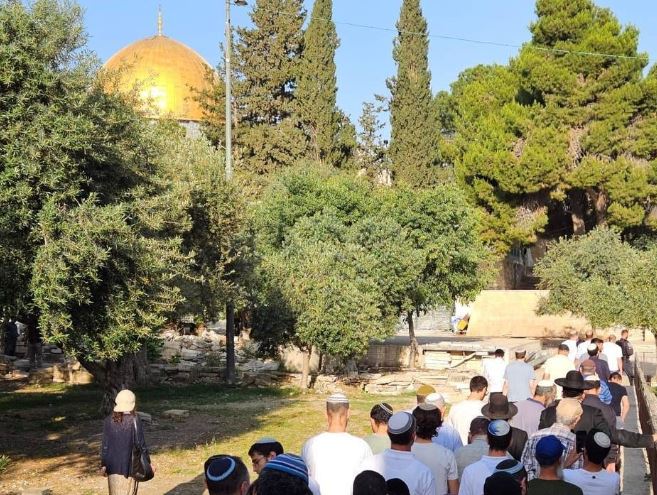 “فلسطينيو الخارج”: اقتحامات الاحتلال لن تنجح بالنيل من المسجد الأقصى