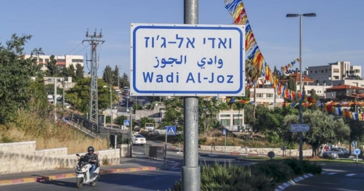وادي الجوز