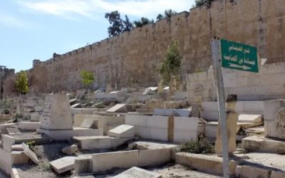 حمادة: تدنيس الاحتلال مقبرة باب الرحمة عدوان غاشم