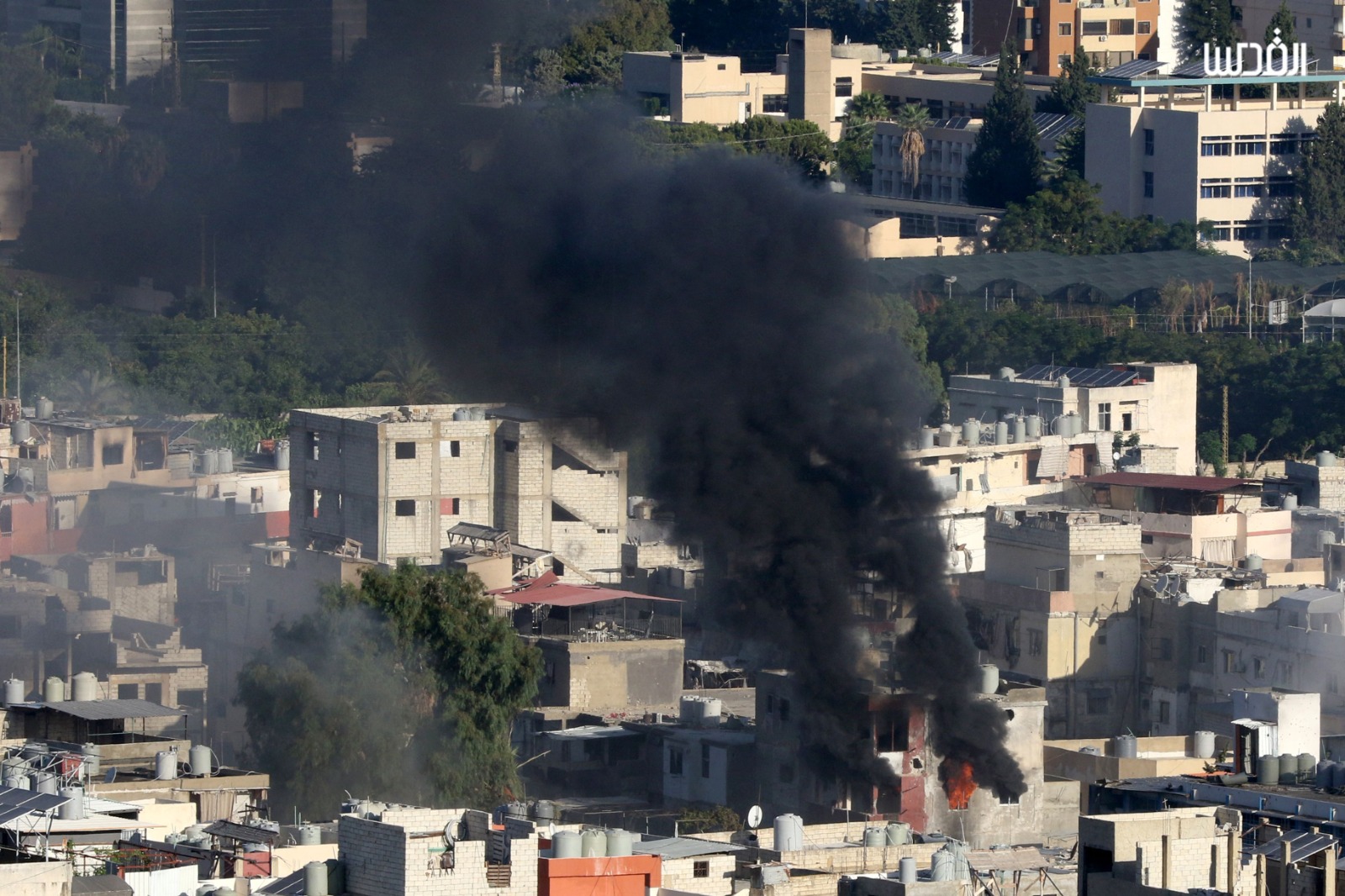 طه: حماس تسعى لتثبيت وقف إطلاق النار في مخيم عين الحلوة