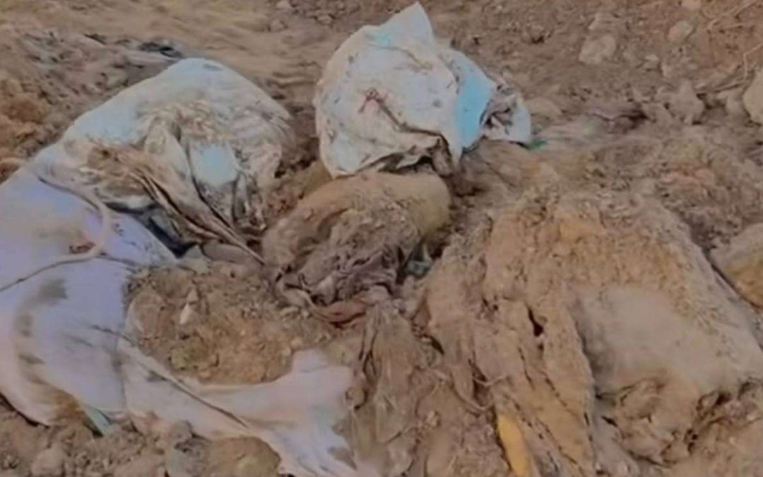 نبش المقابر وسلب جثامين الشهداء .. جريمة إسرائيلية متكررة في غزة