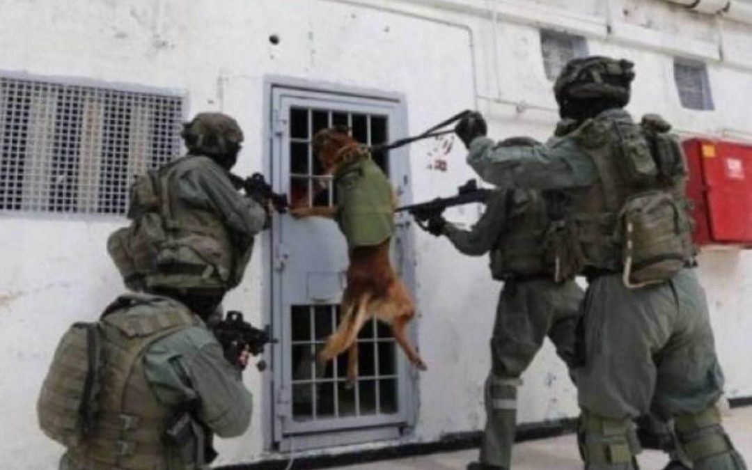 سعار الاعتقالات الإسرائيلية.. سلخانات تعذيب تفوح منها رائحة الموت