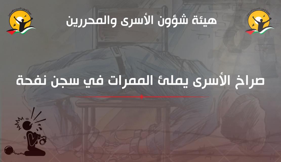 هيئة حقوقية تكشف جانبًا من “نازية الاحتلال” بتعذيب الأسرى بسجن نفحة