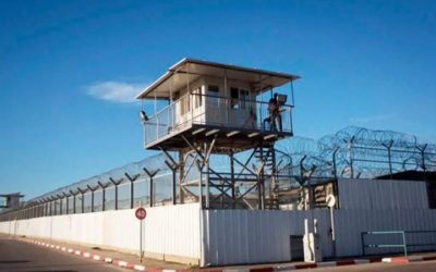 إدارة سجن ريمون تتجاهل متابعة الأسرى المرضى
