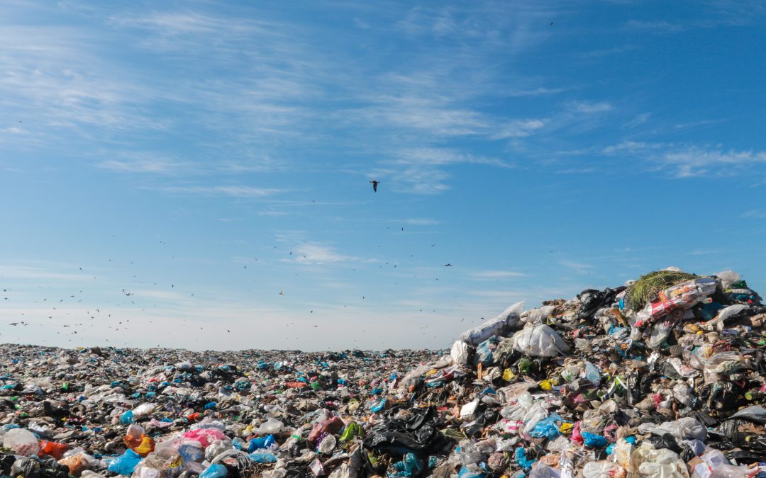 بلدية غزة: منع كوادرنا الوصول لمكب النفايات سيكون له تداعيات بيئية كارثية