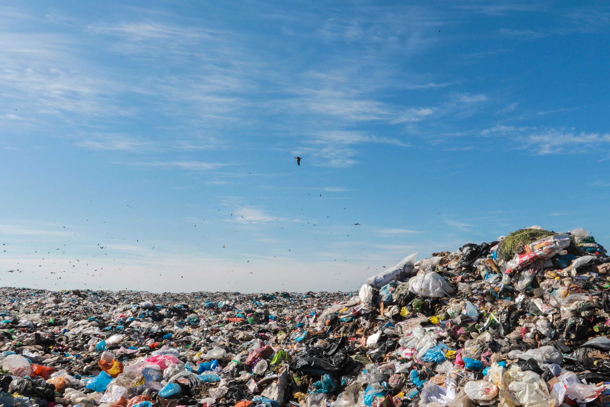 بلدية غزة: منع كوادرنا الوصول لمكب النفايات سيكون له تداعيات بيئية كارثية