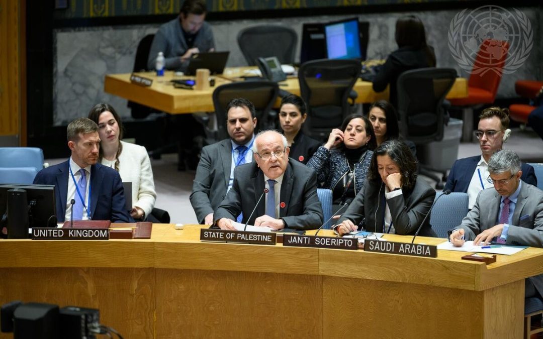 مجلس الأمن يحيل إعادة النظر في طلب فلسطين للعضوية الكاملة إلى لجنة العضوية