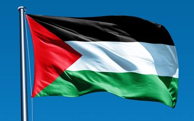 أيرلندا تعلن عزمها الاعتراف بدولة فلسطين في مايو الجاري