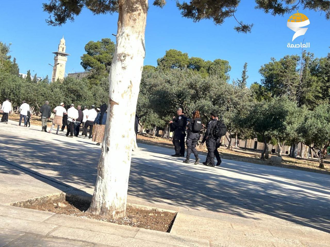 الاحتلال يعتدي بوحشية على مسلم روسي قبل اعتقاله من المسجد الأقصى الاحتلال يعتدي بوحشية على مسلم روسي قبل اعتقاله من المسجد الأقصى