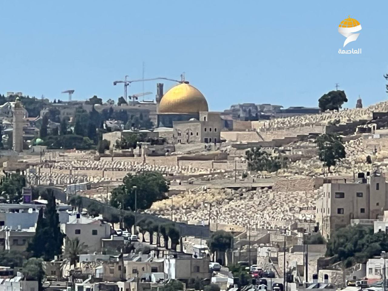 أوروبيون لأجل القدس: شهيد وإصابات و75 معتقلاً بالقدس في يونيو