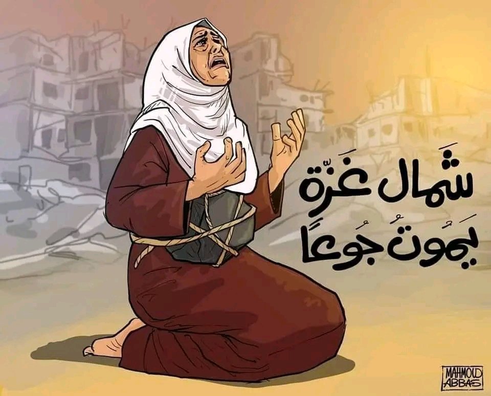شمال غزة يموت جوعًا .. صرخة قهر أخيرة هل من مجيب؟