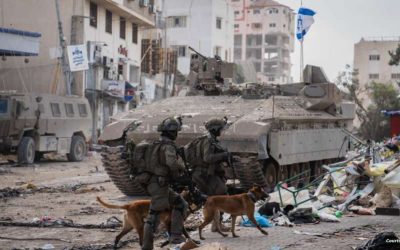 الأورومتوسطي: الاحتلال يستخدم كلابه البوليسية لترويع الفلسطينيين ونهشهم بشكلٍ ممنهجٍ