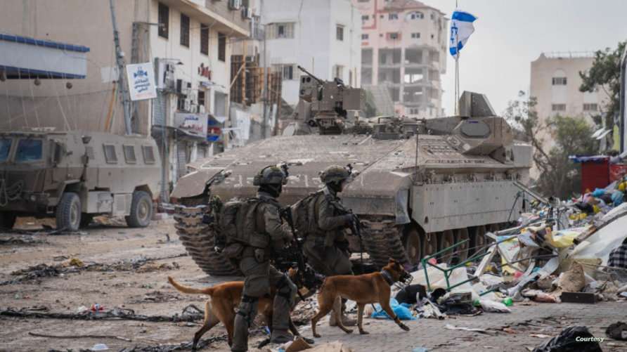 الأورومتوسطي: الاحتلال يستخدم كلابه البوليسية لترويع الفلسطينيين ونهشهم بشكلٍ ممنهجٍ