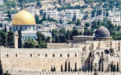 أوروبيون لأجل القدس: شهيد و115 معتقلا في القدس خلال يوليو