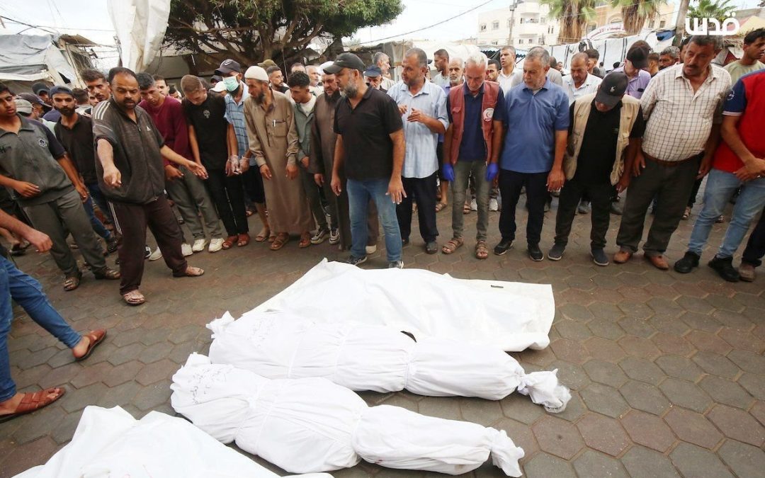 الحصاد المر لحرب الإبادة في قطاع غزة