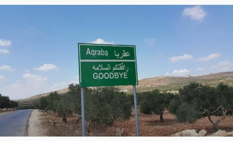 مستوطنون في نابلس يسرقون أغناما ويحرقون مساحات زراعية