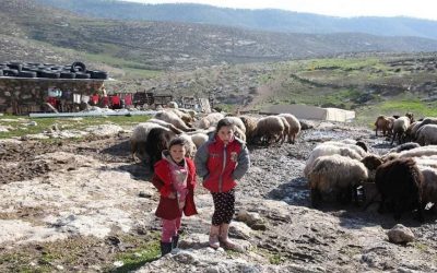 سلامة مخامرة.. طفل فلسطيني ينجو من الموت تعذيباً على أيدي المستوطنين