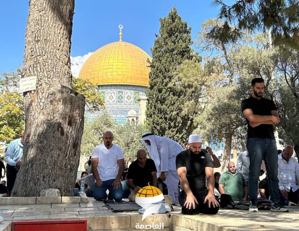 40 ألف مصل يؤدون صلاة الجمعة في المسجد الأقصى 40 ألف مصل يؤدون صلاة الجمعة في المسجد الأقصى