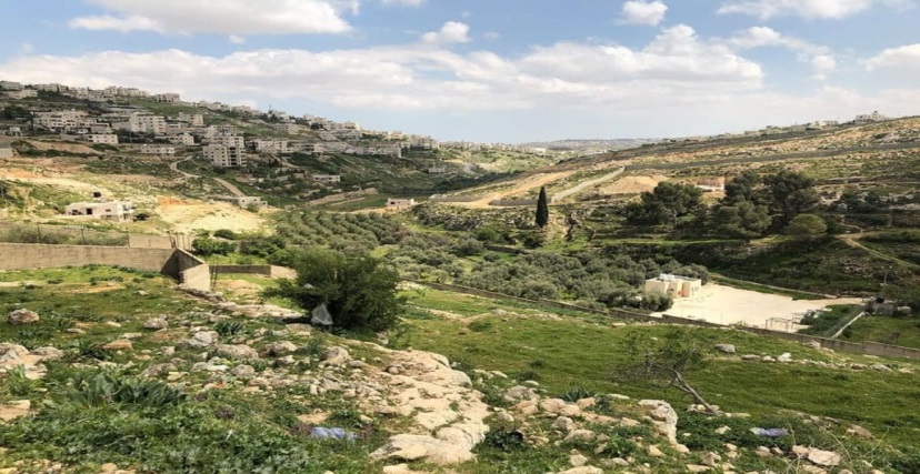 مستوطنون يستولون على أراض شرقي بيت لحم ويتلفون مزروعات شمالاً