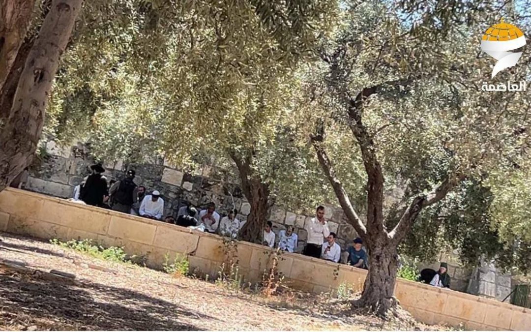 بطقوسٍ تلموديةٍ وجولاتٍ استفزازيةٍ..191 مستوطنًا اقتحموا الأقصى اليوم