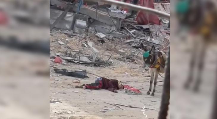 في خرقٍ لوقف إطلاق النار.. مشاهد توثق إعدام الاحتلال لطفلٍ في رفح بدم بارد