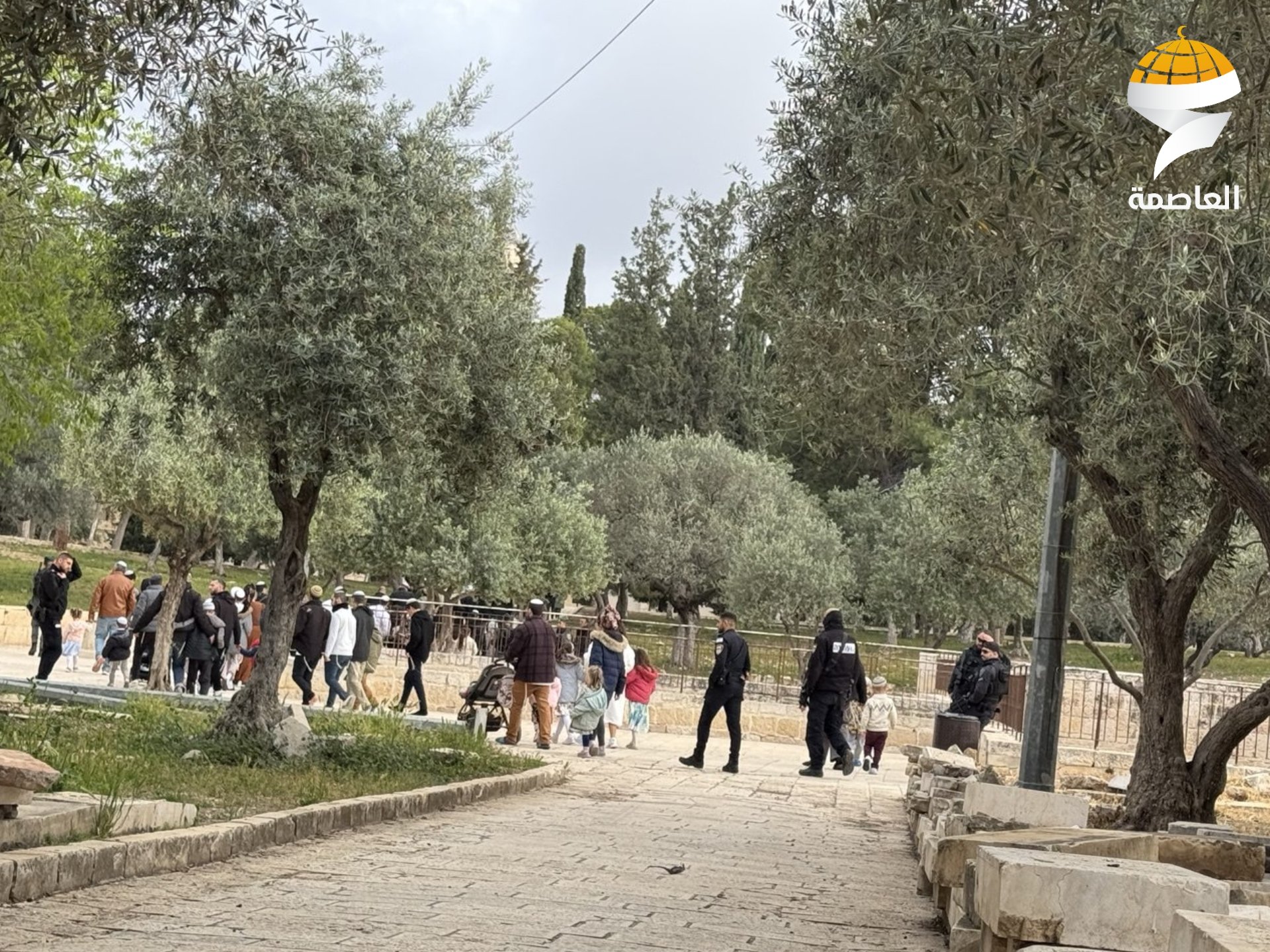 عشرات المستوطنين يقتحمون الأقصى ويؤدون طقوسًا تلمودية