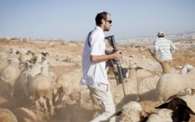 مستوطنون يهاجمون منازل بالخليل ويعتدون على المزارعين في سلفيت