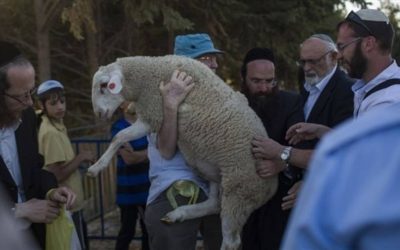 بوابة الخلاص للهيكل المزعوم.. ما تداعيات إدخال قربان الفصح للأقصى؟
