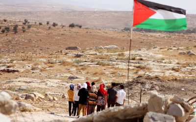 مستوطنون يهاجمون أراض زراعية ويقتلعون أشجارًا في الخليل