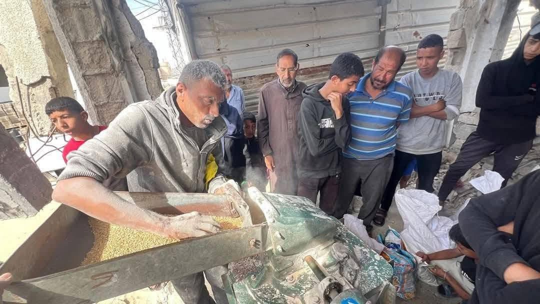 مع تفشي المجاعة .. دقيق البقوليات خط الدفاع الأخير في معركة البقاء بغزة مع تفشي المجاعة .. دقيق البقوليات خط الدفاع الأخير في معركة البقاء بغزة