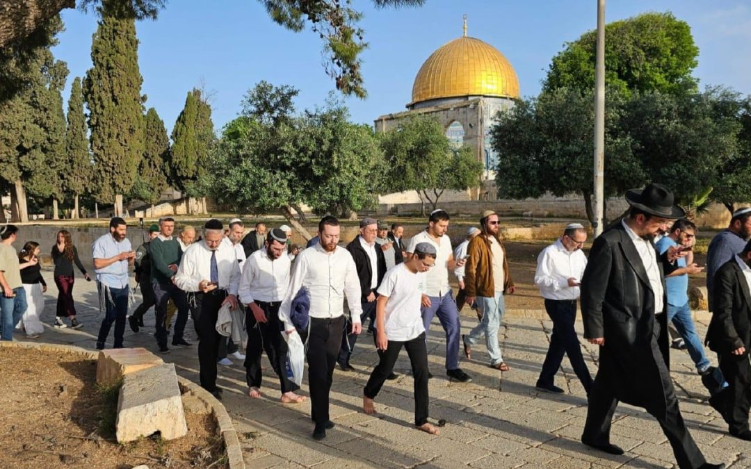 مستوطنون يدنسون ساحات الأقصى ويؤدون طقوسًا تلمودية