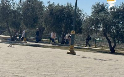 عشرات المستوطنين يدنسون ساحات المسجد الأقصى