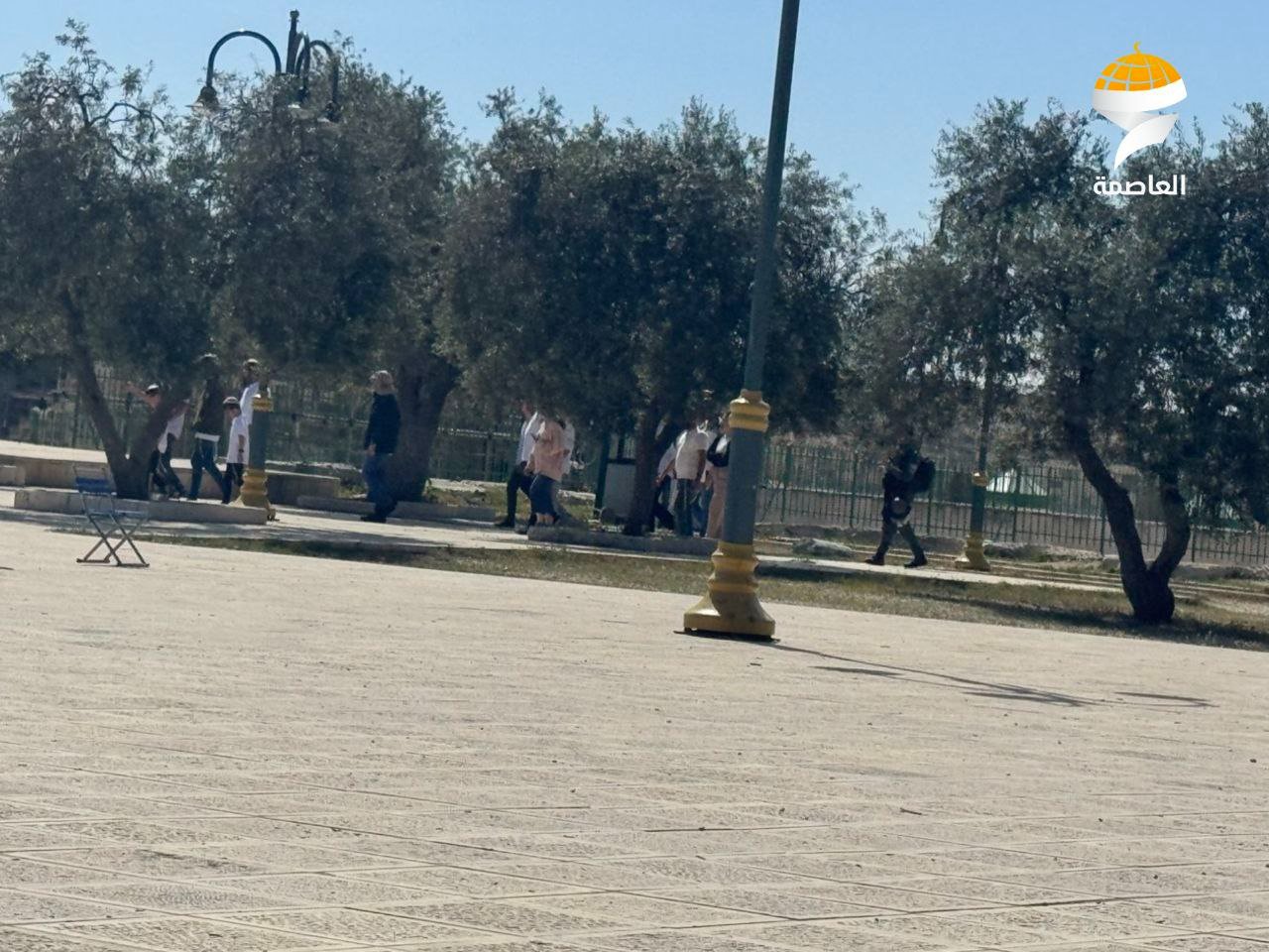 عشرات المستوطنين يدنسون ساحات المسجد الأقصى عشرات المستوطنين يدنسون ساحات المسجد الأقصى