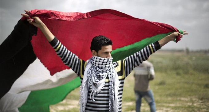 5 آلاف فلسطيني بغزة محرومون من الهوية الشخصية