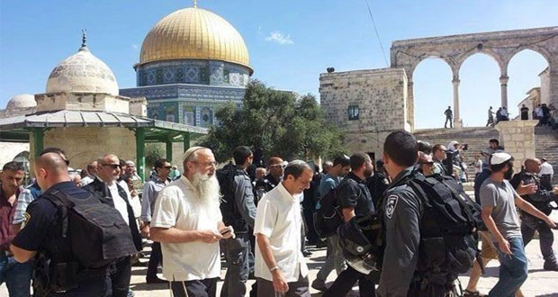 القدس في نوفمبر .. 8 شهداء و268 معتقلا واقتحامات متكررة للأقصى