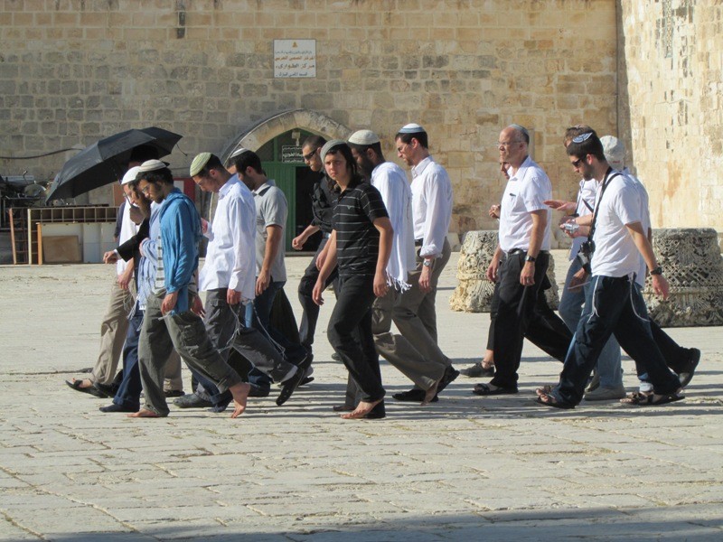 29 مستوطناً يهودياً يقتحمون المسجد الأقصى