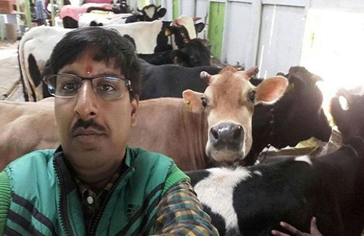 مسابقة لأجمل سيلفي مع الأبقار في الهند