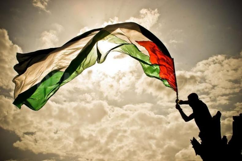 في ذكرى النكبة.. البرلمان البرتغالي يصوّت من أجل التضامن مع فلسطين