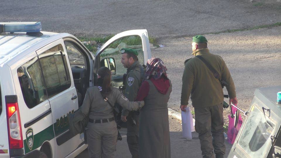 الاحتلال يعتقل فتاة في الخليل بزعم حيازتها سكينًا
