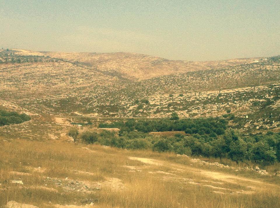 جرافات إسرائيلية تشق طرقًا استيطانية قرب نابلس