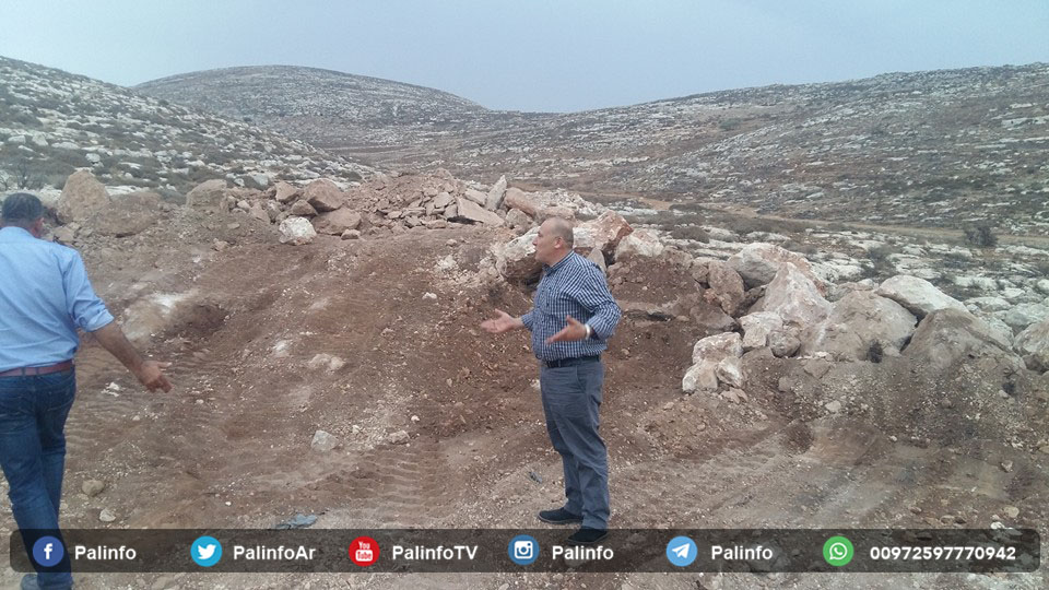 لشق طريق استيطاني.. الاحتلال يقتلع أشجار زيتون شرق قلقيلية