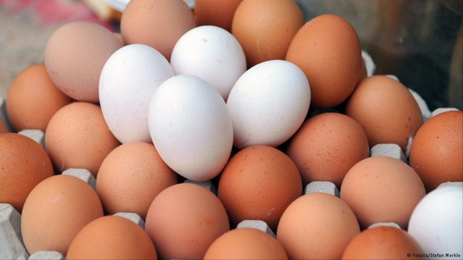 هل البيض البني أفضل من الأبيض؟ ولماذا أغلى؟