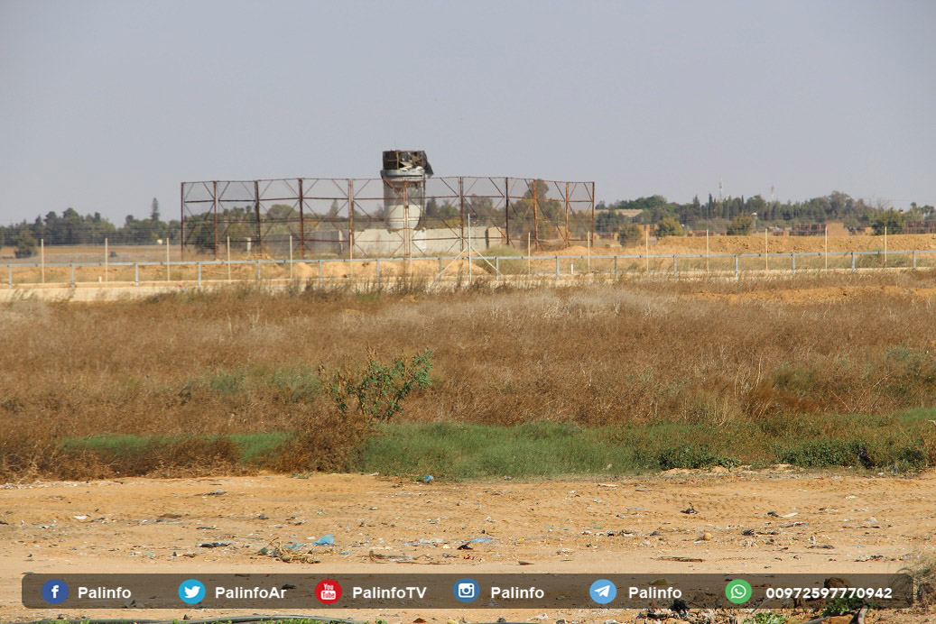 الذباب يهاجم قواعد الجيش الإسرائيلي على حدود غزة