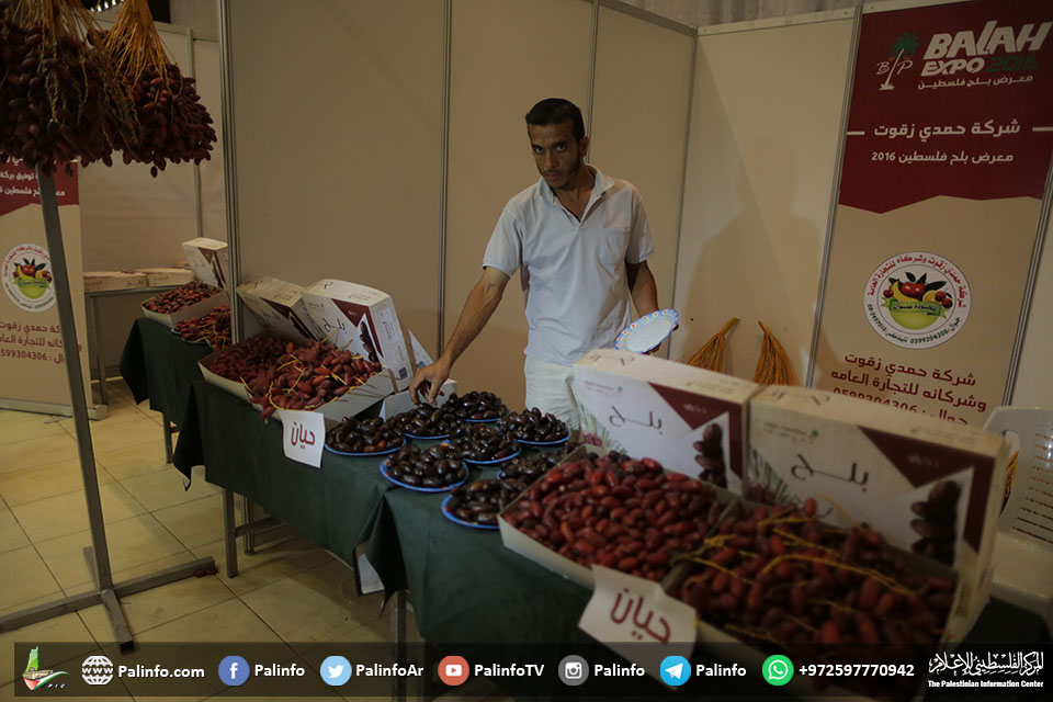 معرض بلح فلسطين للعام 2016 في مدينة غزة
