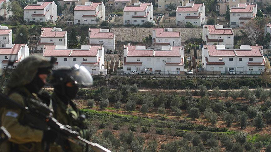منظمة: حكومة الاحتلال تشارك في عمليات تزوير لسرقة الأرض الفلسطينية