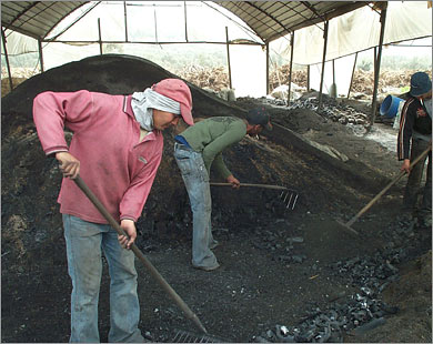الاحتلال يصادر شاحنة ويواصل استهداف صناعة الفحم في جنين