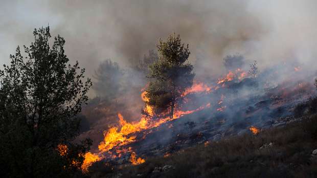 حرائق ضخمة تلتهم 900 دونم من جبال القدس