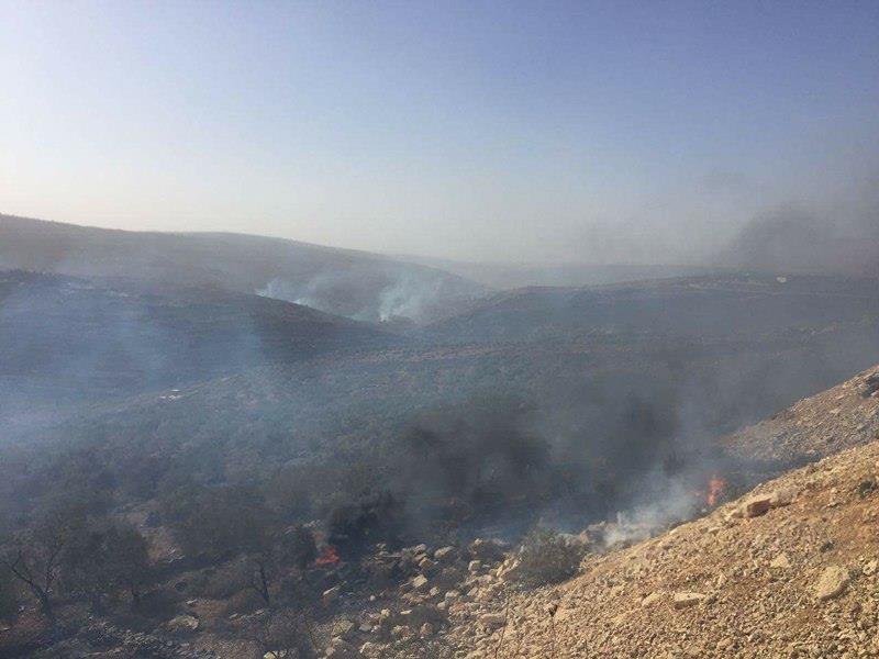 حريق هائل في عصيرة القبلية جنوب نابلس