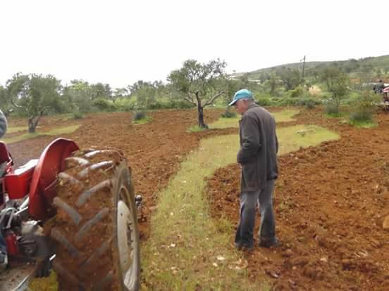 دعوة لمزارعي قريوت لقطف الزيتون في مناطق متاخمة للمستوطنات